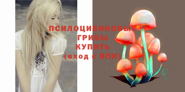 спайс Алзамай