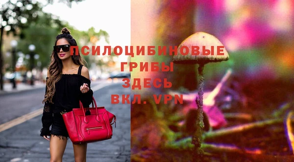 mix Алексин