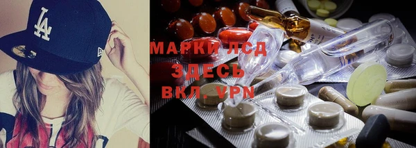 спайс Алзамай
