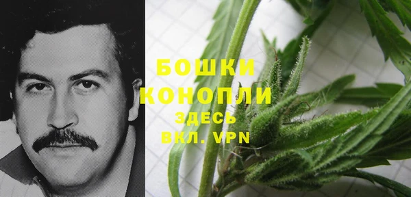спайс Алзамай