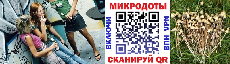 где купить наркотик Евпатория мориарти состав Галлюциногенные грибы Psilocybine cubensis