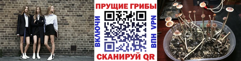 Галлюциногенные грибы мухоморы Евпатория